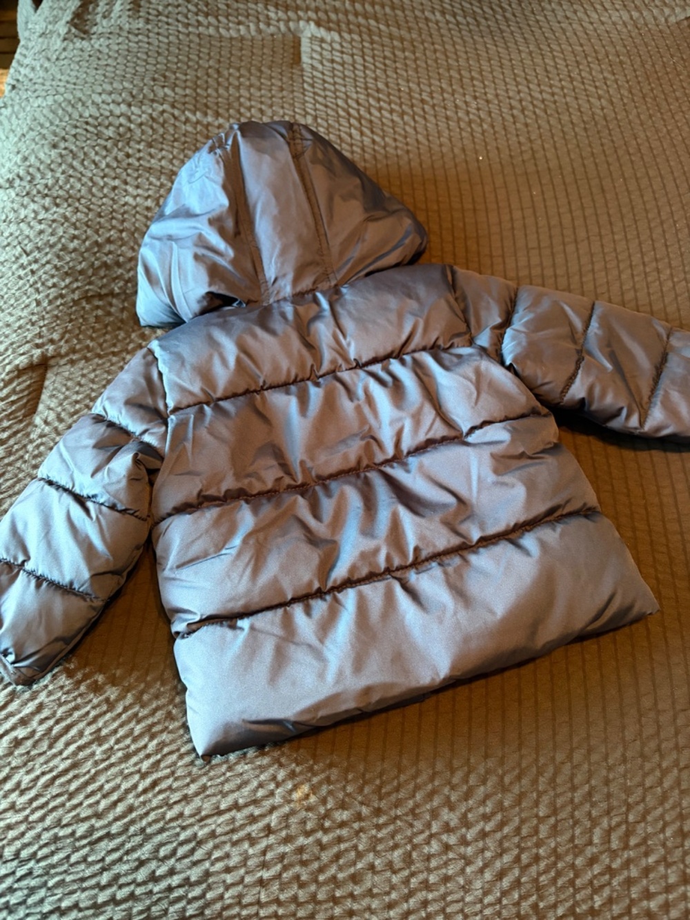 Toddler Jacket - Picture 3 of 3